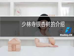 少林寺银杏树的介绍