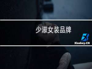 少淑女装品牌