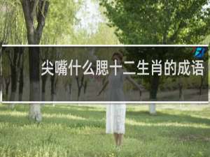 尖嘴什么腮十二生肖的成语