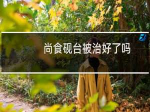 尚食砚台被治好了吗