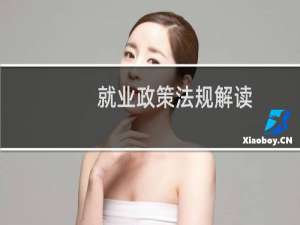 就业政策法规解读