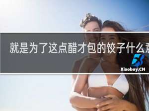 就是为了这点醋才包的饺子什么意思，出自哪里什么梗