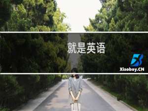 就是英语
