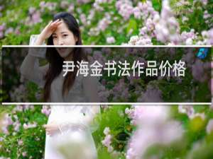 尹海金书法作品价格