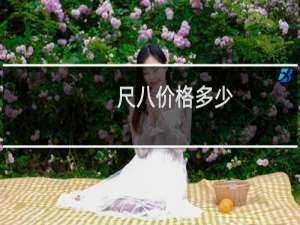 尺八价格多少