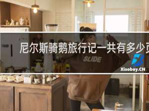 尼尔斯骑鹅旅行记一共有多少页