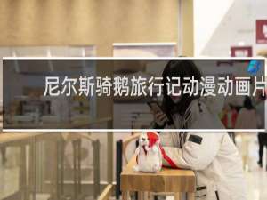 尼尔斯骑鹅旅行记动漫动画片