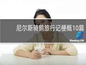 尼尔斯骑鹅旅行记梗概10篇