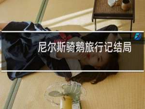 尼尔斯骑鹅旅行记结局