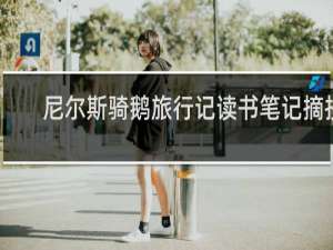 尼尔斯骑鹅旅行记读书笔记摘抄