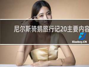 尼尔斯骑鹅旅行记 主要内容