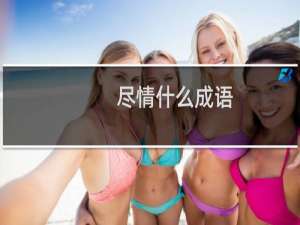 尽情什么成语