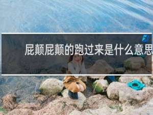 屁颠屁颠的跑过来是什么意思，是褒义词还是贬义词什么梗