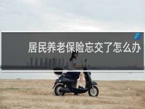 居民养老保险忘交了怎么办