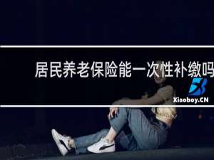 居民养老保险能一次性补缴吗