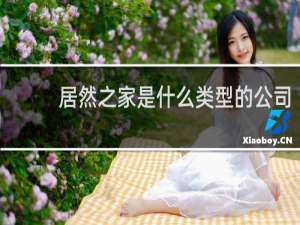 居然之家是什么类型的公司