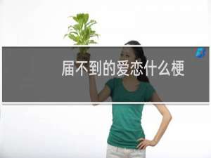 届不到的爱恋什么梗