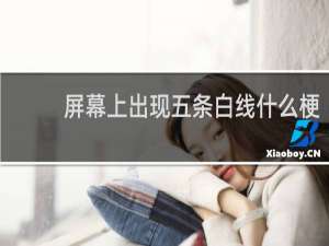 屏幕上出现五条白线什么梗