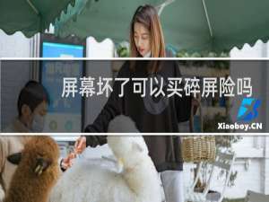 屏幕坏了可以买碎屏险吗