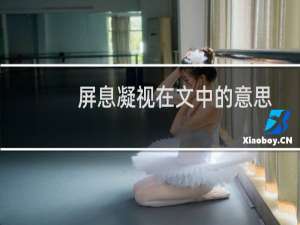 屏息凝视在文中的意思是什么（屏息凝视的意思是什么）