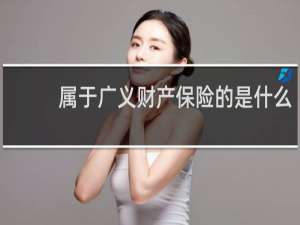 属于广义财产保险的是什么