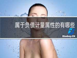 属于负债计量属性的有哪些