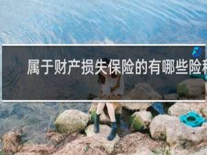 属于财产损失保险的有哪些险种