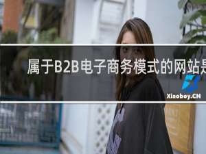 属于B2B电子商务模式的网站是