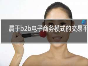 属于b2b电子商务模式的交易平台