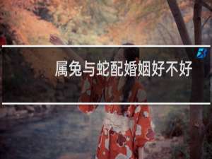 属兔与蛇配婚姻好不好