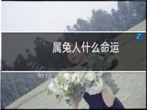 属兔人什么命运