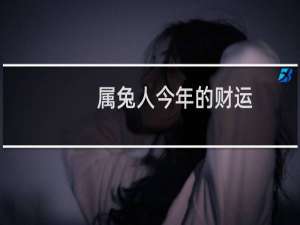 属兔人今年的财运