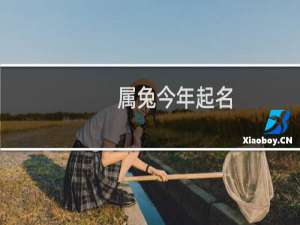 属兔今年起名