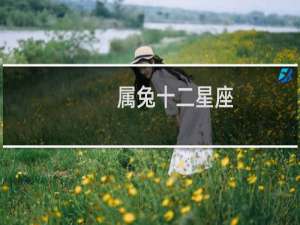 属兔十二星座