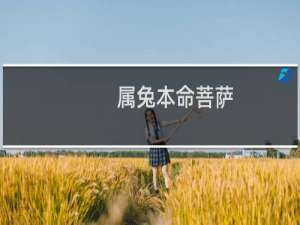 属兔本命菩萨