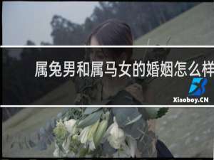 属兔男和属马女的婚姻怎么样