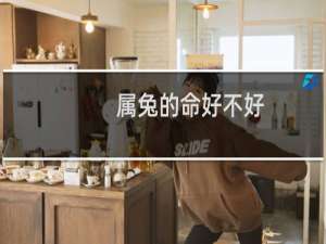 属兔的命好不好