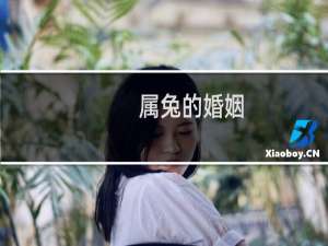 属兔的婚姻