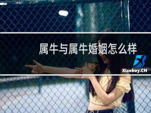 属牛与属牛婚姻怎么样