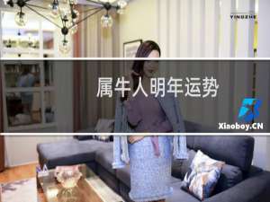 属牛人明年运势