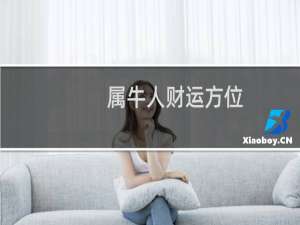 属牛人财运方位