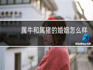 属牛和属猪的婚姻怎么样