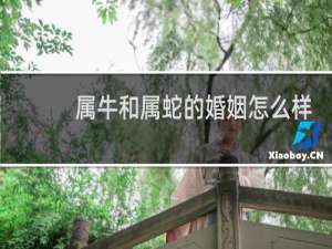 属牛和属蛇的婚姻怎么样