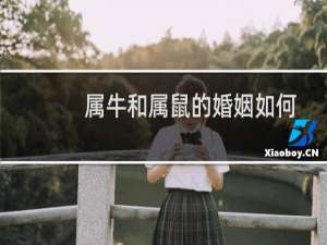 属牛和属鼠的婚姻如何