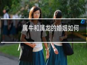 属牛和属龙的婚姻如何