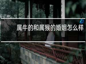 属牛的和属猴的婚姻怎么样