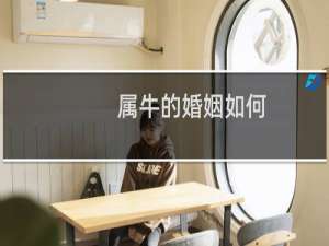 属牛的婚姻如何
