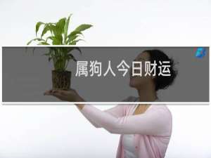 属狗人今日财运