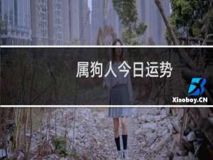 属狗人今日运势