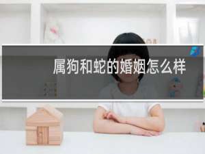 属狗和蛇的婚姻怎么样